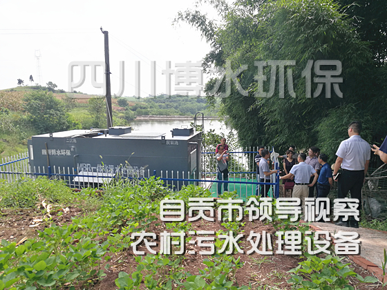 自貢市農村生活污水處理設備迎接省市區(qū)領導檢查